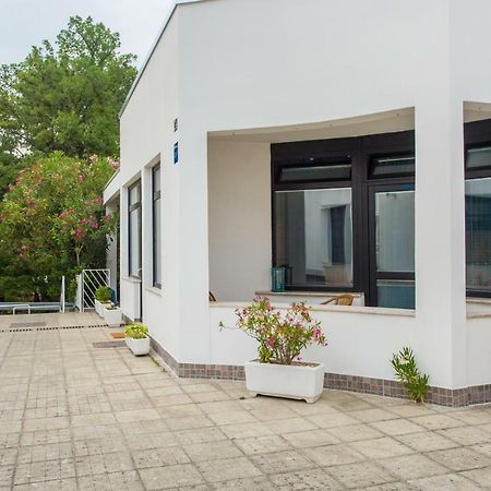 Studio Apartman Mija 1 مالينسكا المظهر الخارجي الصورة