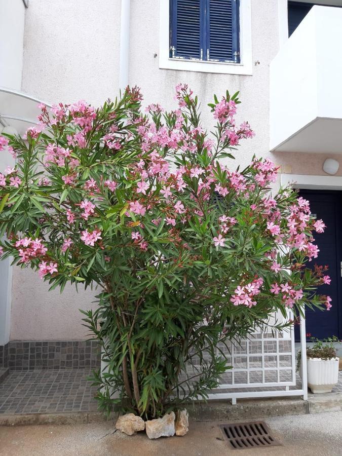 Studio Apartman Mija 1 مالينسكا المظهر الخارجي الصورة
